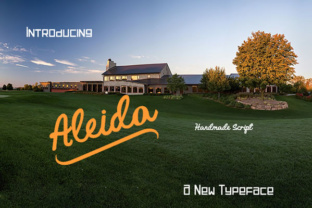 Aleida Typeface: Elevating Digital Brand Identity with Handmade Script Design