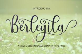 Berleyila: The Font That Elevates Your Campaign’s Message