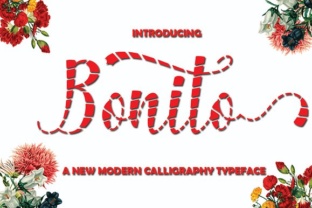 Bonito Font: A Playful Script for Stronger Brand Visuals