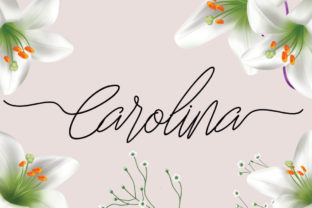 Carolina: A Fine Monoline Script for Modern Brand Identity