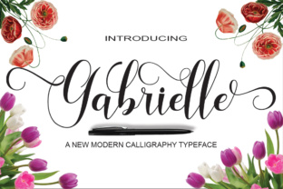 How Gabrielle Font Transformed My Brand’s Visual Story