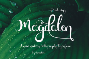 Magdalen Typeface Review: Elevating Social Media Campaigns with Modern Calligraphy