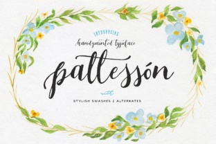 Patteson Typeface: Elevating Campaign Visuals with Script Amp Precision