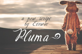 Pluma Font: A Handwritten Script for Crafting and Commercial Projects