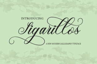 Sigarillos Font: Elevate Your Brand with a Stylish Script Typeface