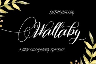 Wallaby Font: A Modern Typeface for Digital Branding